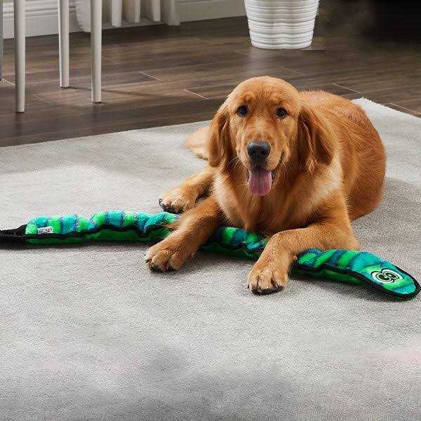 Snake Dog Toy G2547