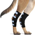 Dog Hind Leg Brace with Reflective Straps T89464