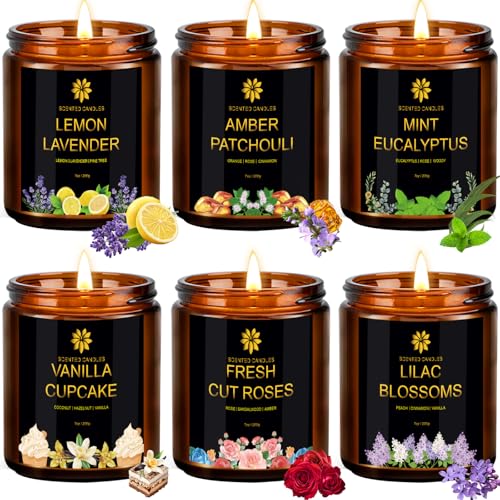 6 Pack Soy Scented Candles 21 oz Jar W2160