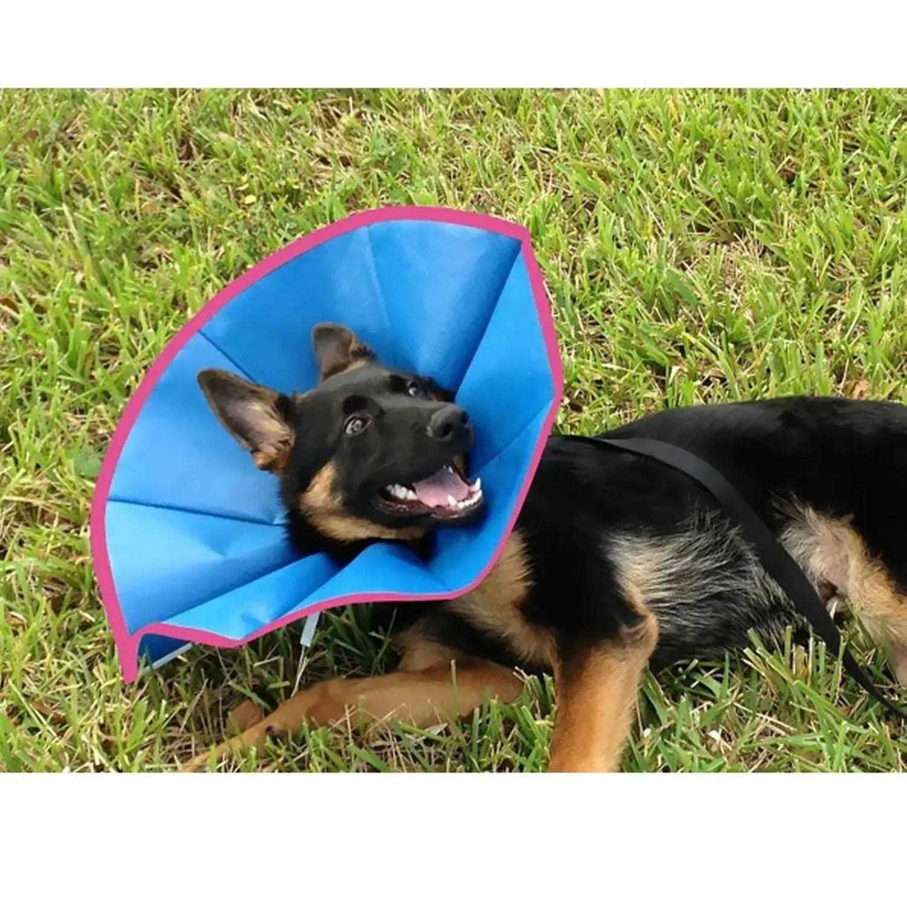 Recovery Collar B2752