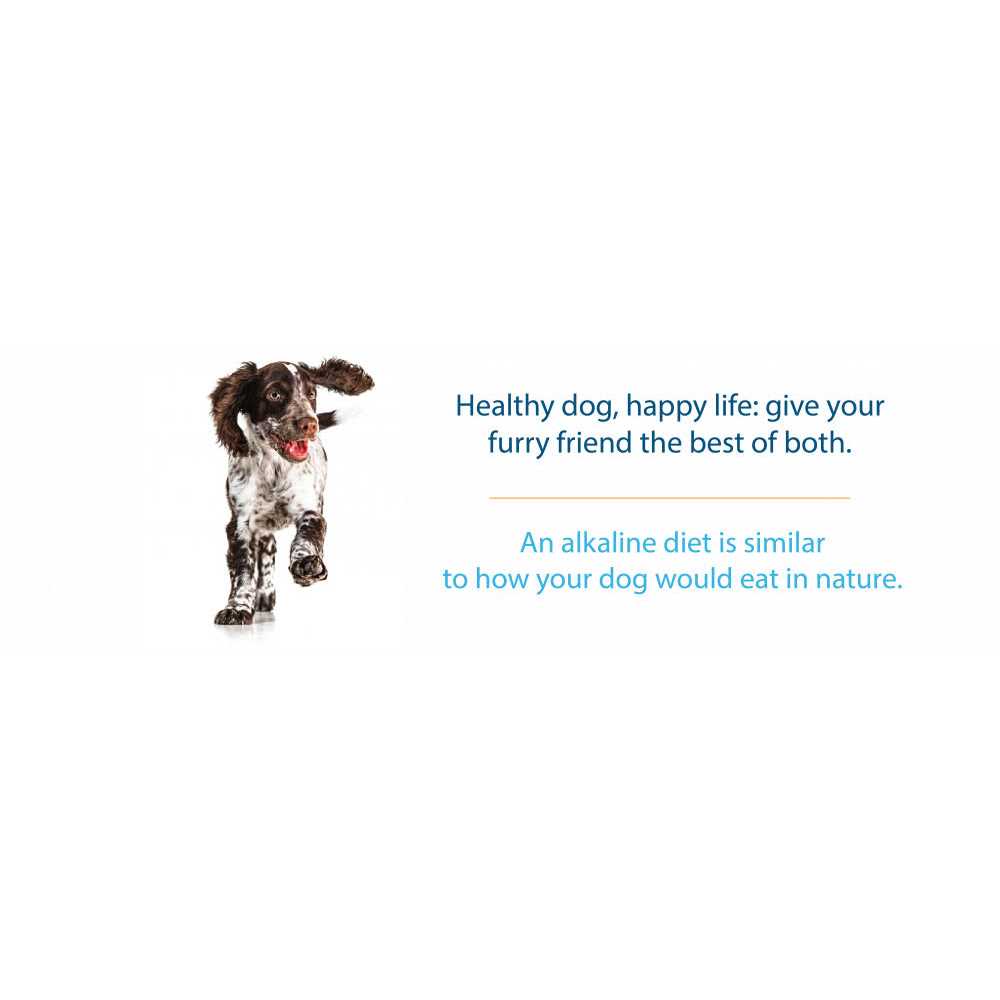 Grain-Free Dry Dog Food A77543