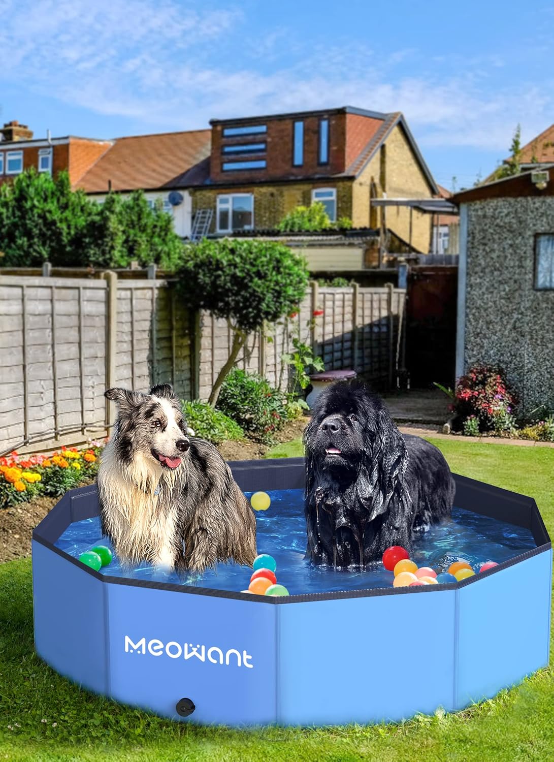 Foldable Hard Plastic Dog Pool 48inch Pack of 2 Q9719