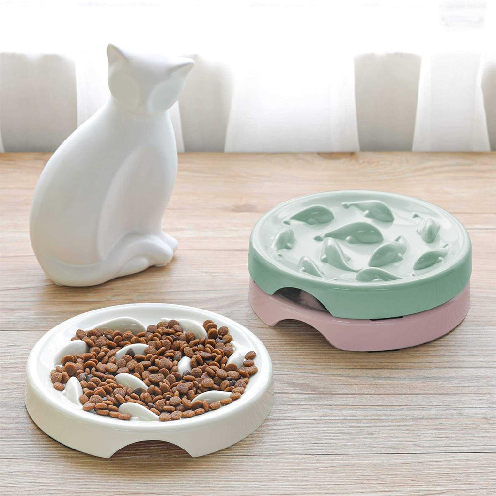 Slow Feeder Bowl for Cats and Small Dogs G220273