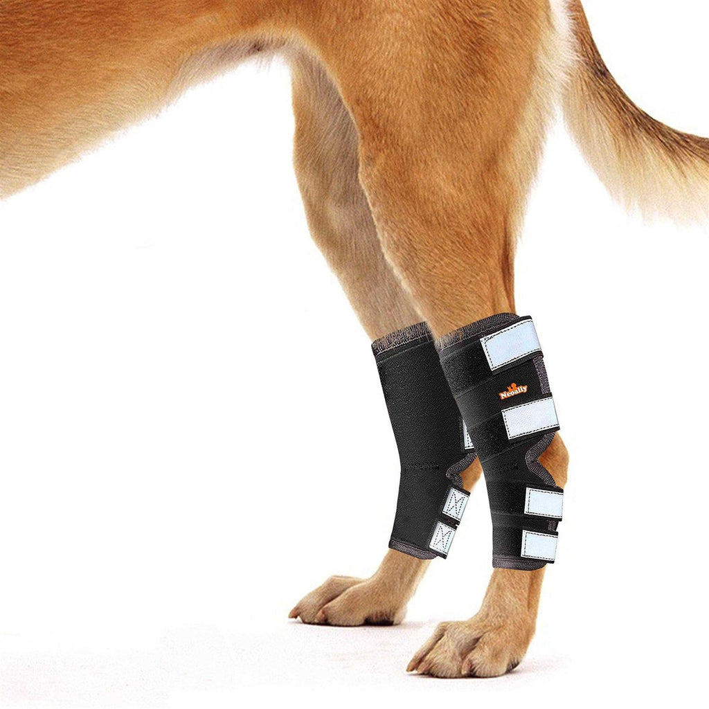 Dog Hind Leg Brace with Reflective Straps T89464