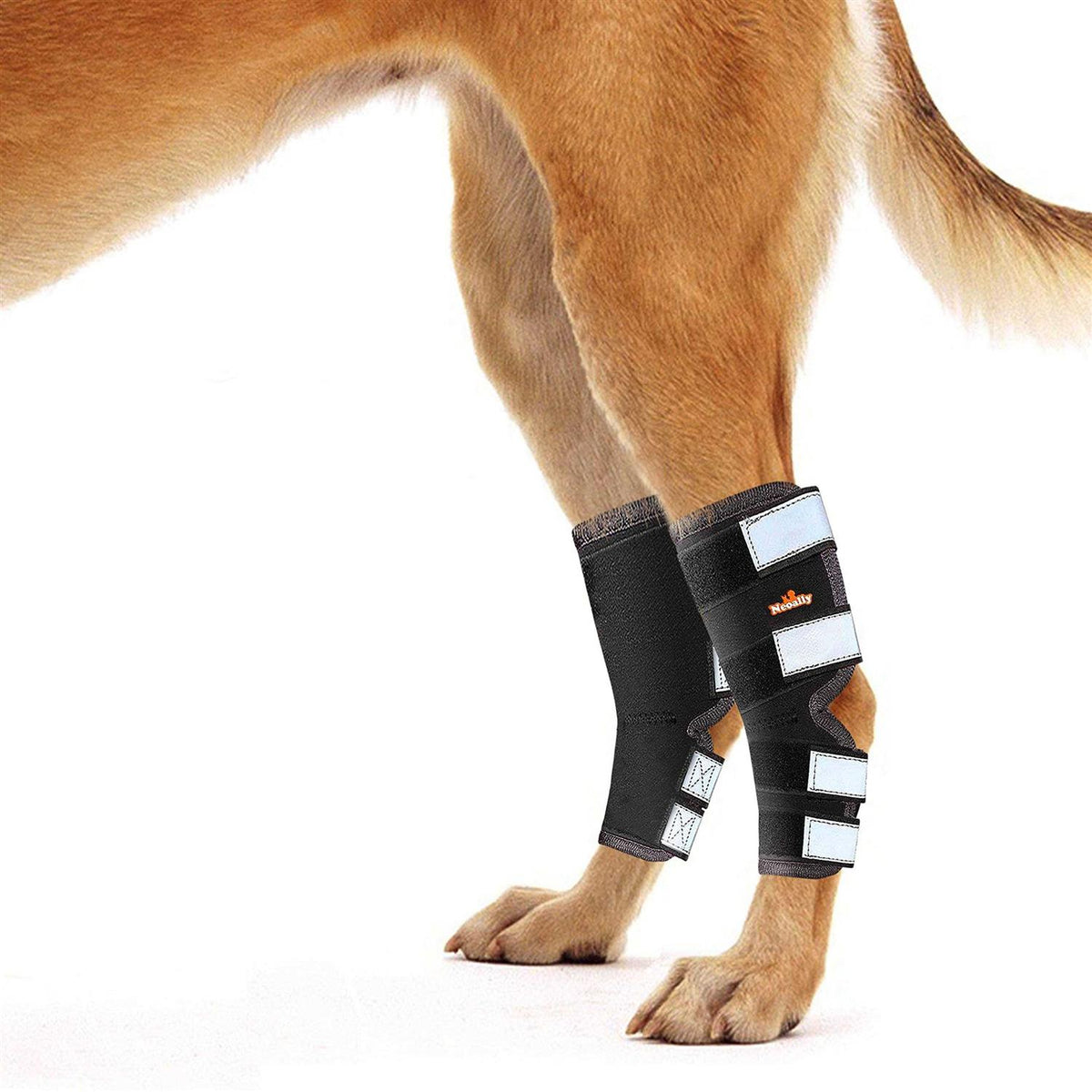 Dog Hind Leg Brace with Reflective Straps T89464