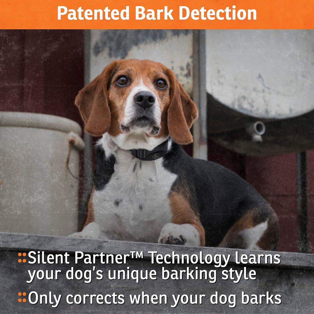 Rechargeable Waterproof Bark Collar D6455
