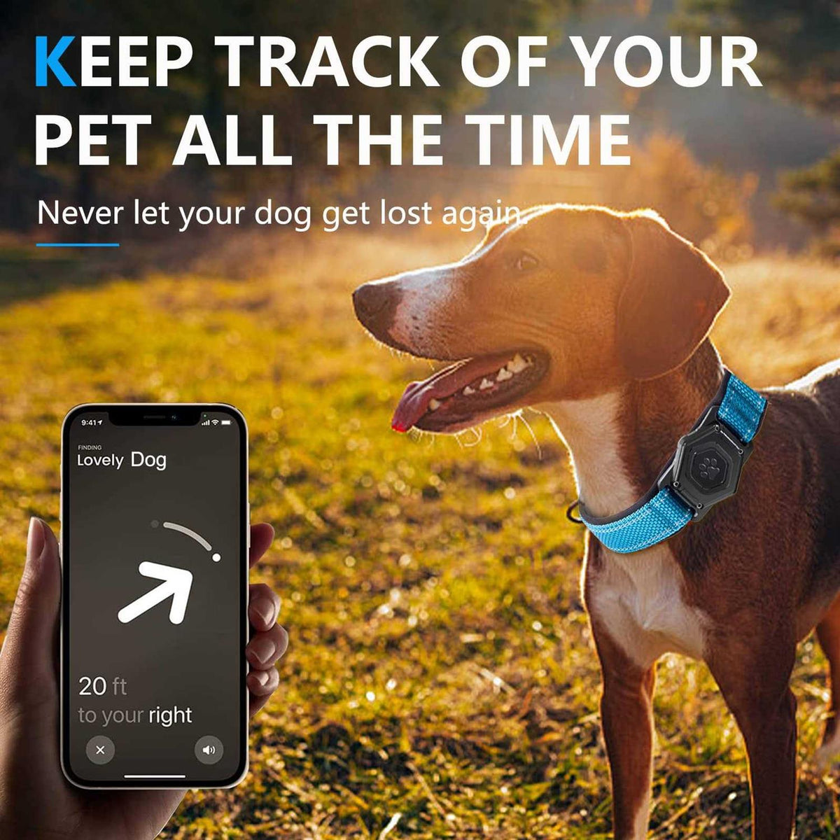 Waterproof Apple Air Tag Holder Dog Collar I397648