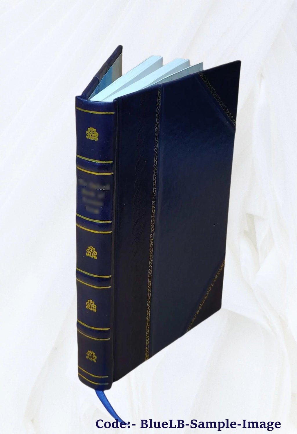 1923 Leather Bound Geographical Reader for Primary Grades F1159