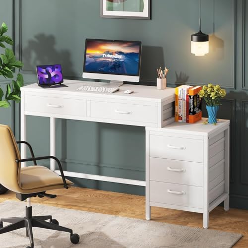 Computer Desk with 5 Drawers F6296