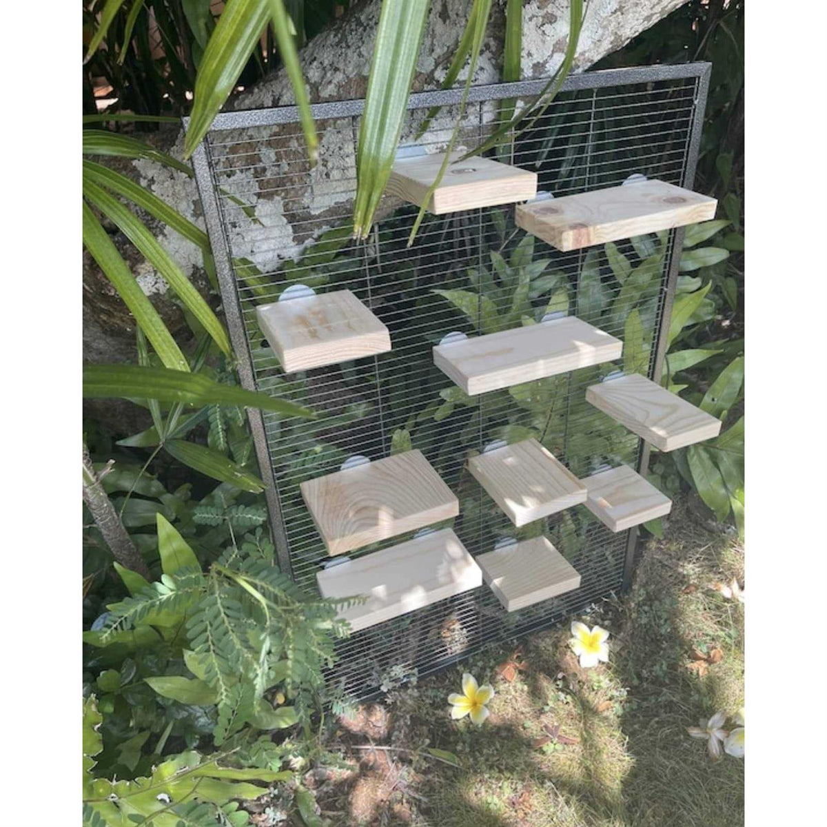 Kiln Dried Pine Small Pet Habitat Accessory J873