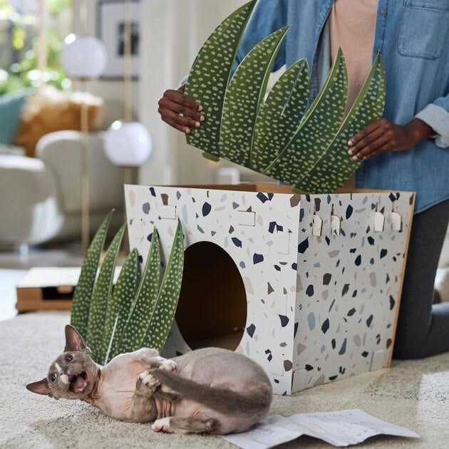 Cardboard Cat House U942385
