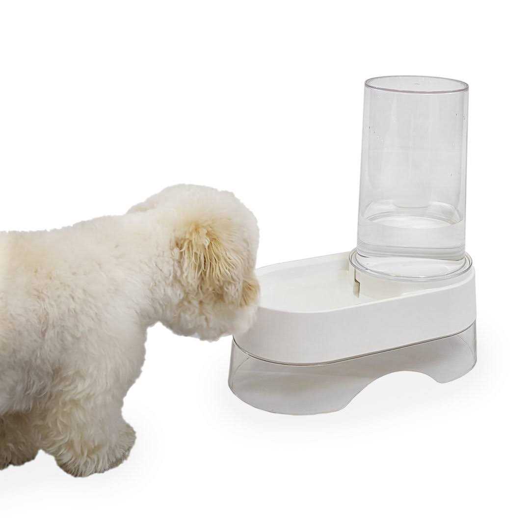 Elevated Gravity Pet Water Dispenser X121