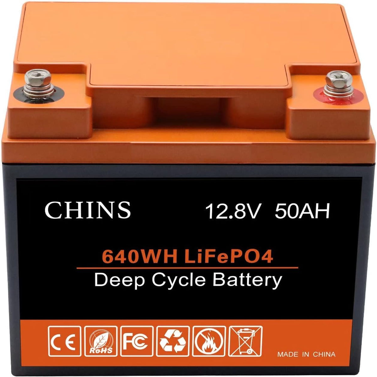 12V 50Ah LiFePO4 Battery with 50A BMS I720