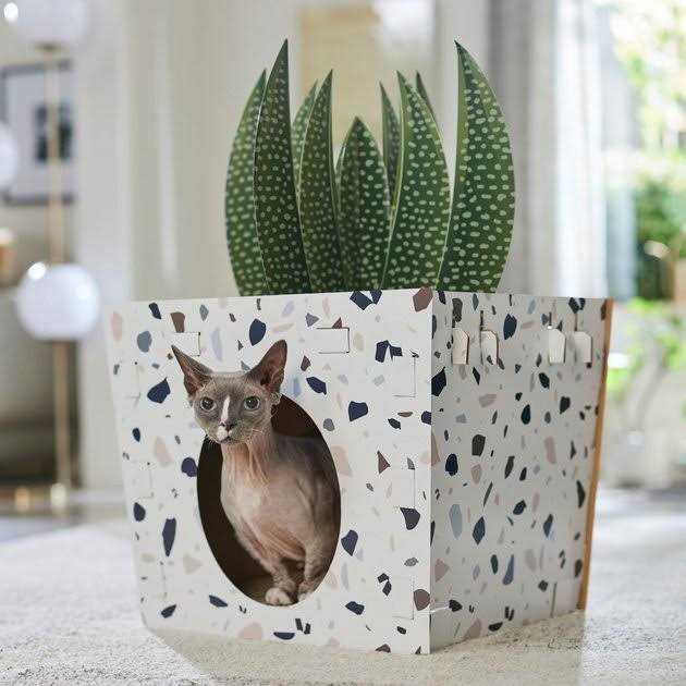 Cardboard Cat House U942385