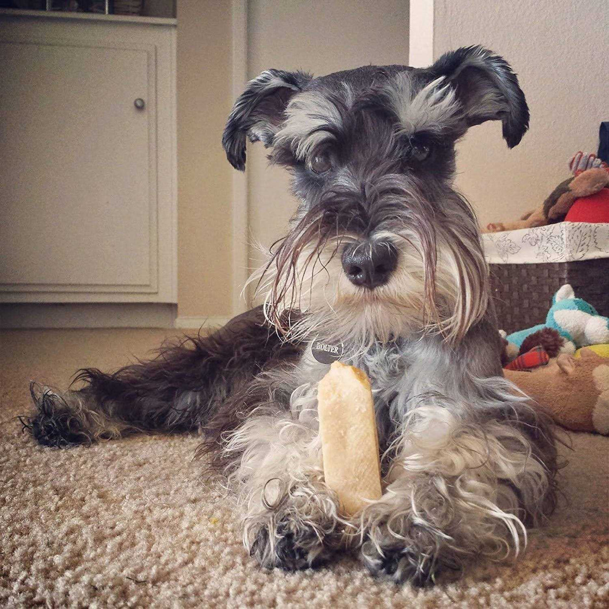 Himalayan Yak Cheese Dog Chew XL Q5665