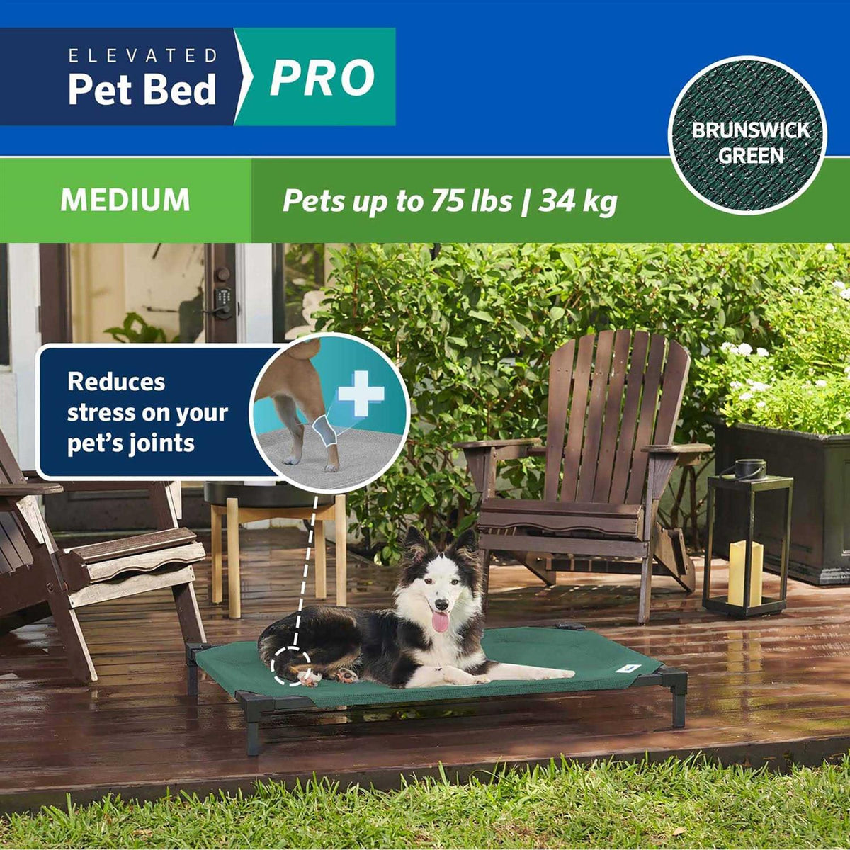 Elevated Pet Bed Y48766