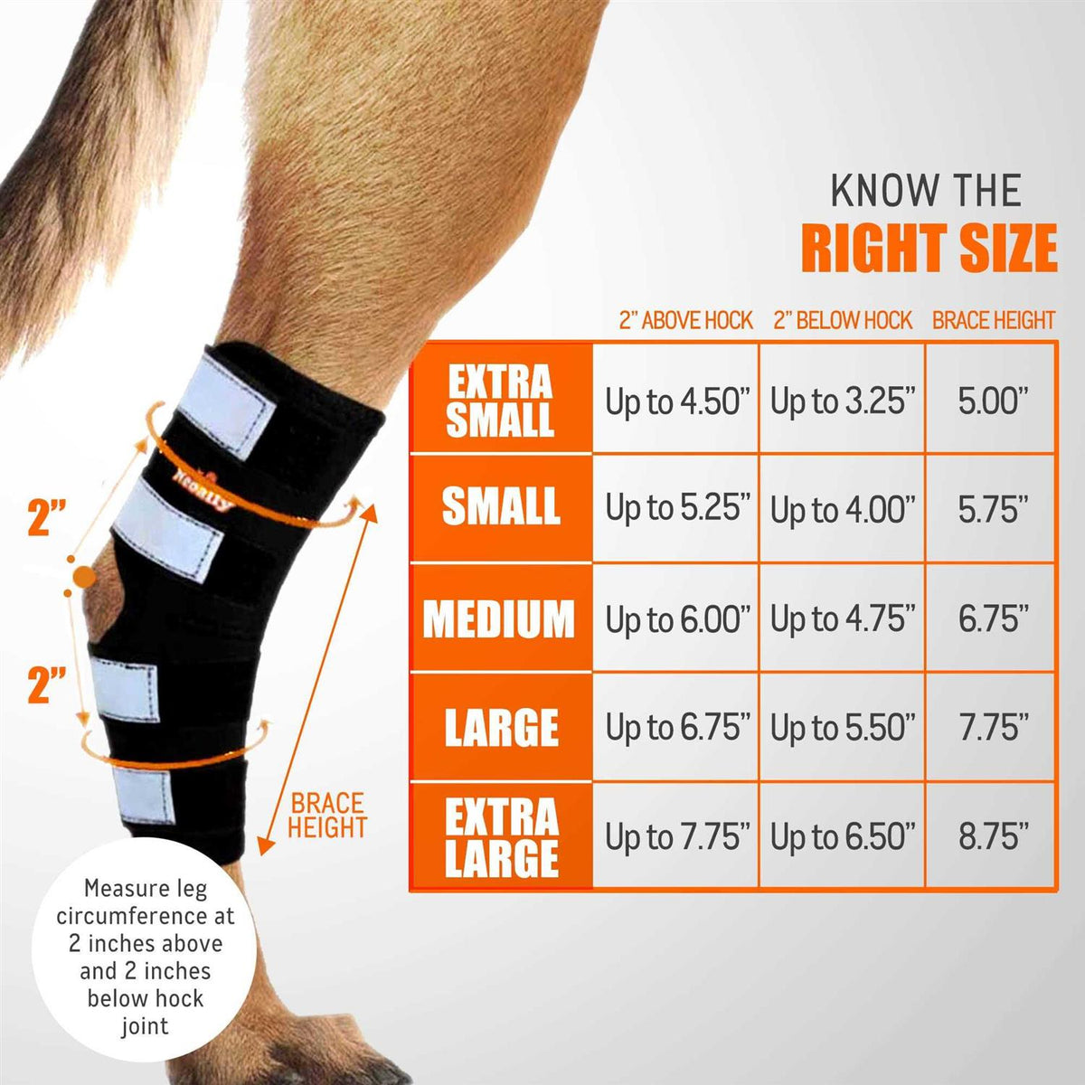 Dog Hind Leg Brace with Reflective Straps T89464