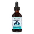 Slippery Elm Extract B50359