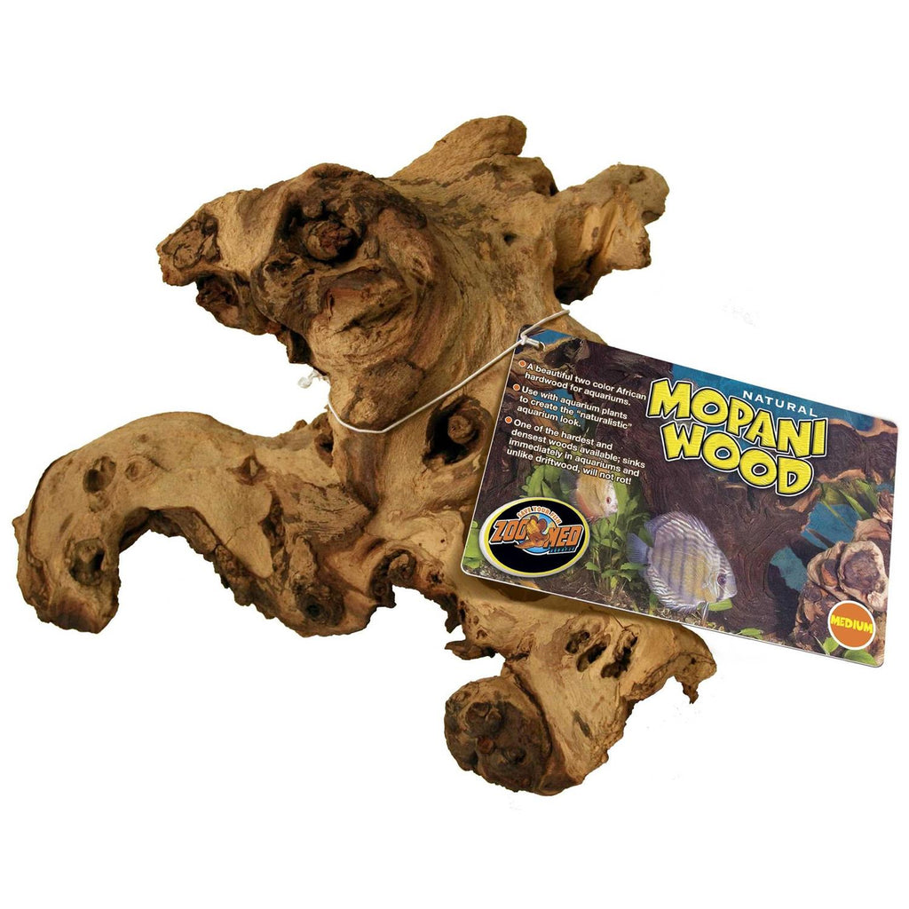 Mopani Wood H154273
