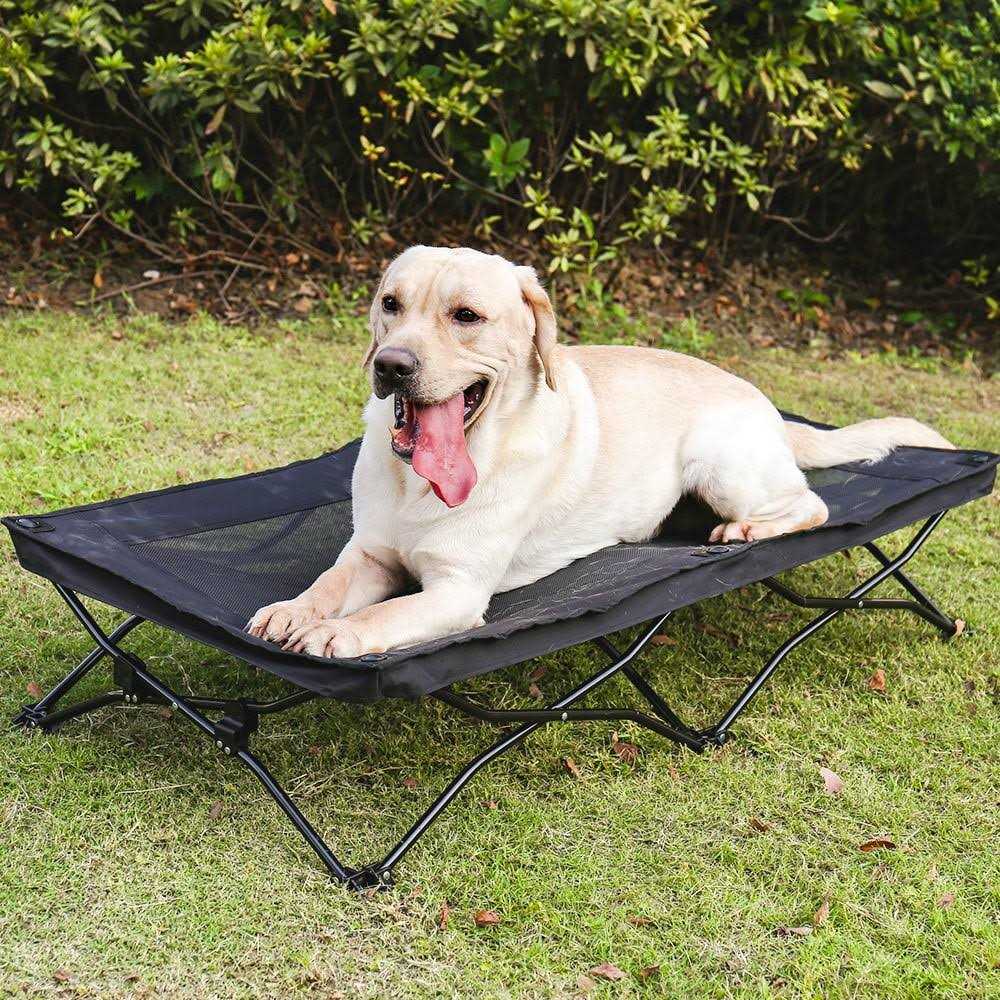 Elevated Dog Bed with Canopy Z632