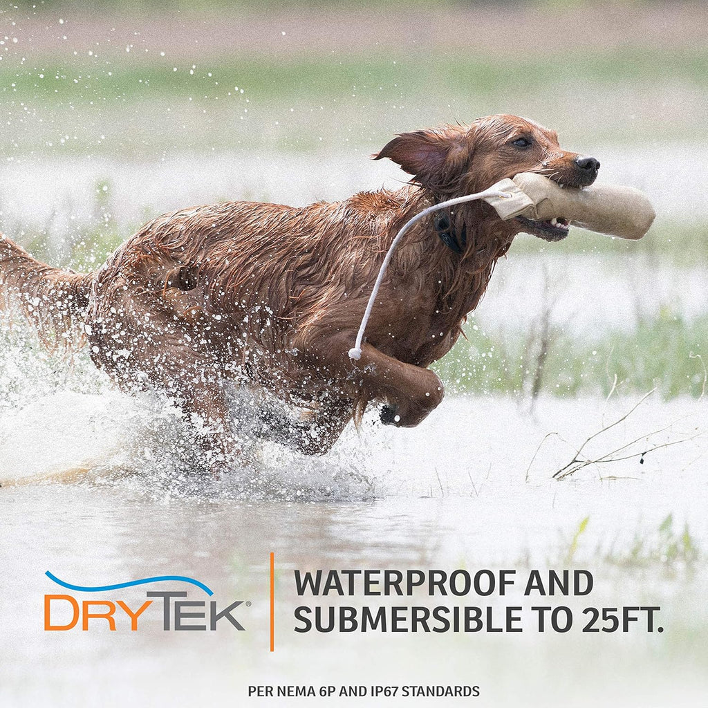 Rechargeable Waterproof Bark Collar D6455