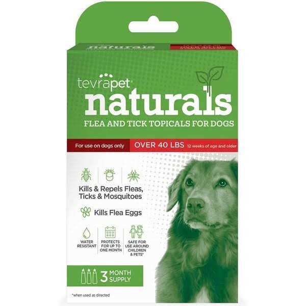 Flea & Tick Collar for Dogs B19641