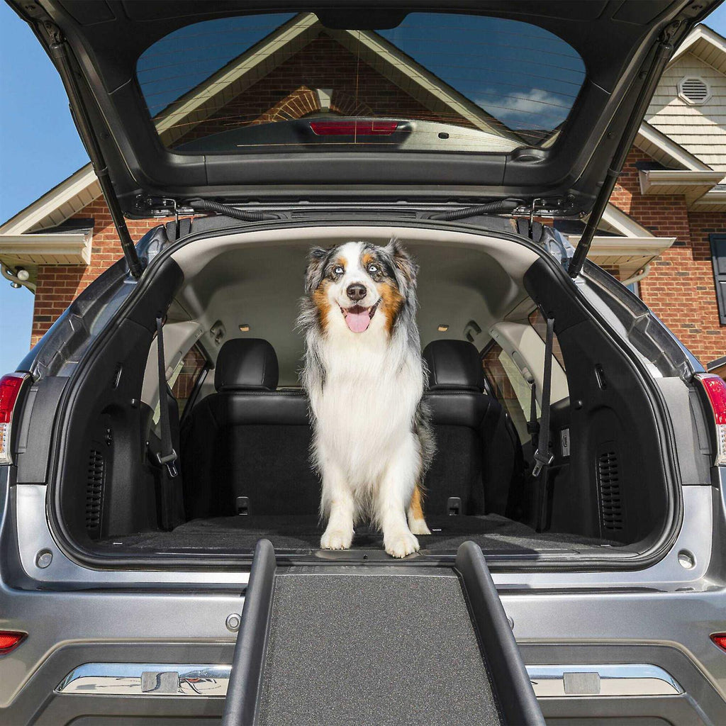 Folding Pet Ramp D97146