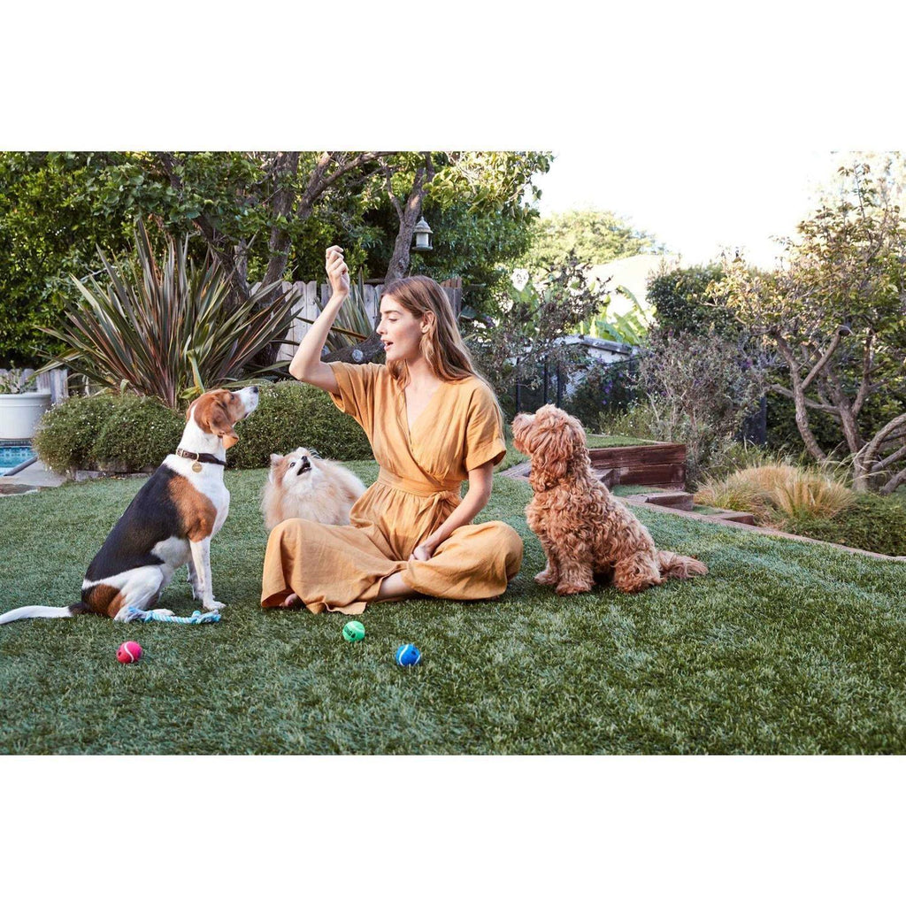 Chicken Recipe Dog Treats F52855