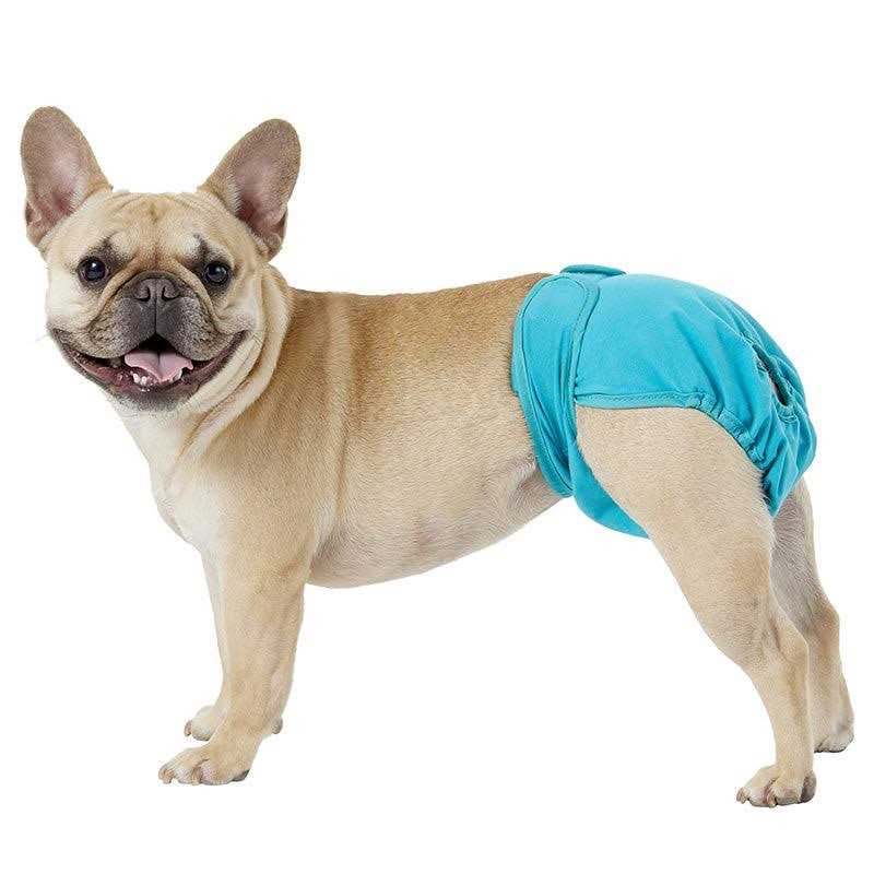 Washable Dog Diaper B15984