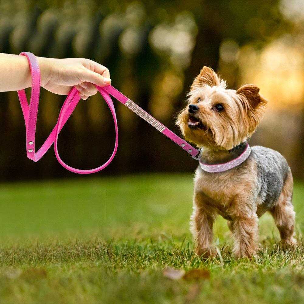 Rhinestone Soft Suede Leather Dog Cat Collar U2101