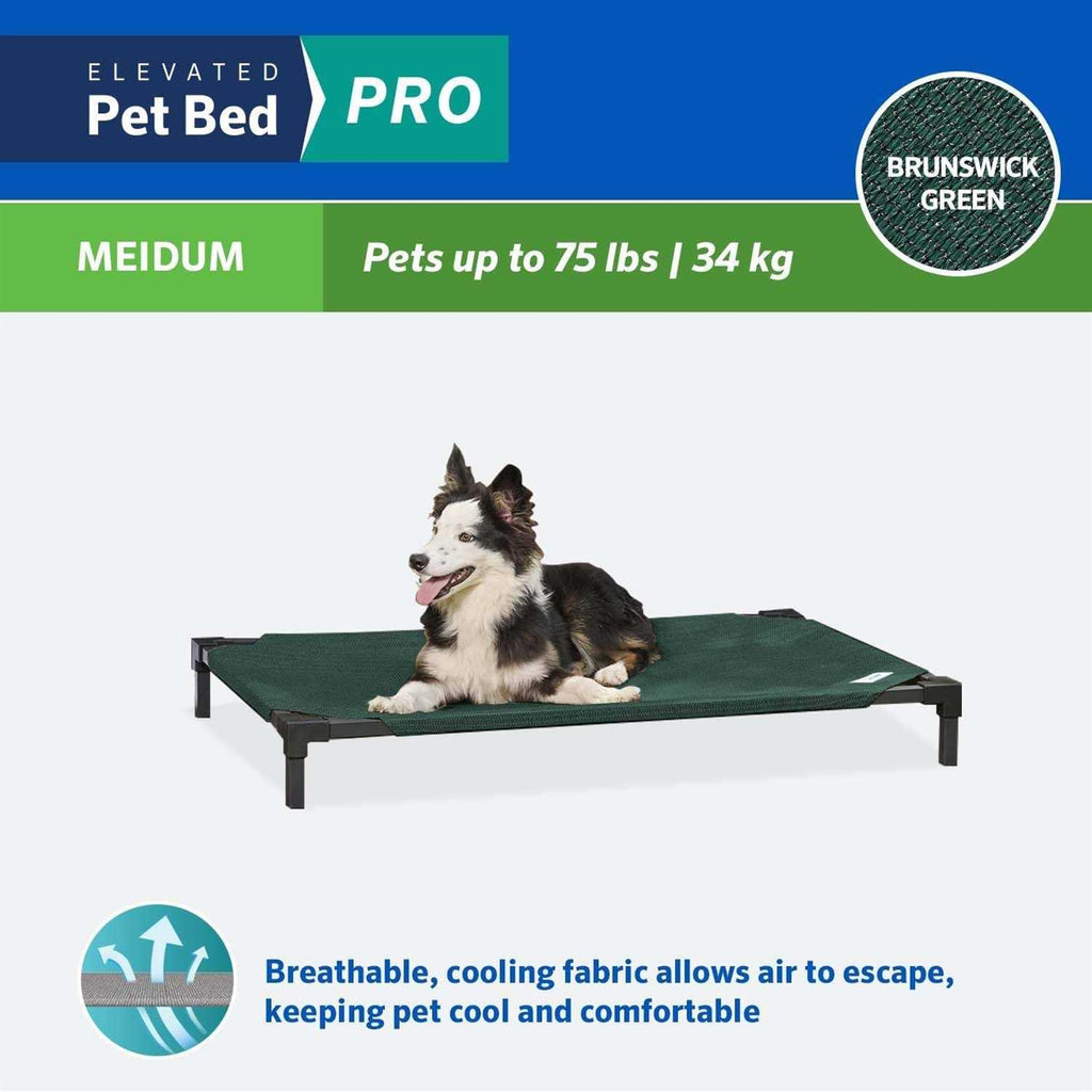 Elevated Pet Bed Y48766