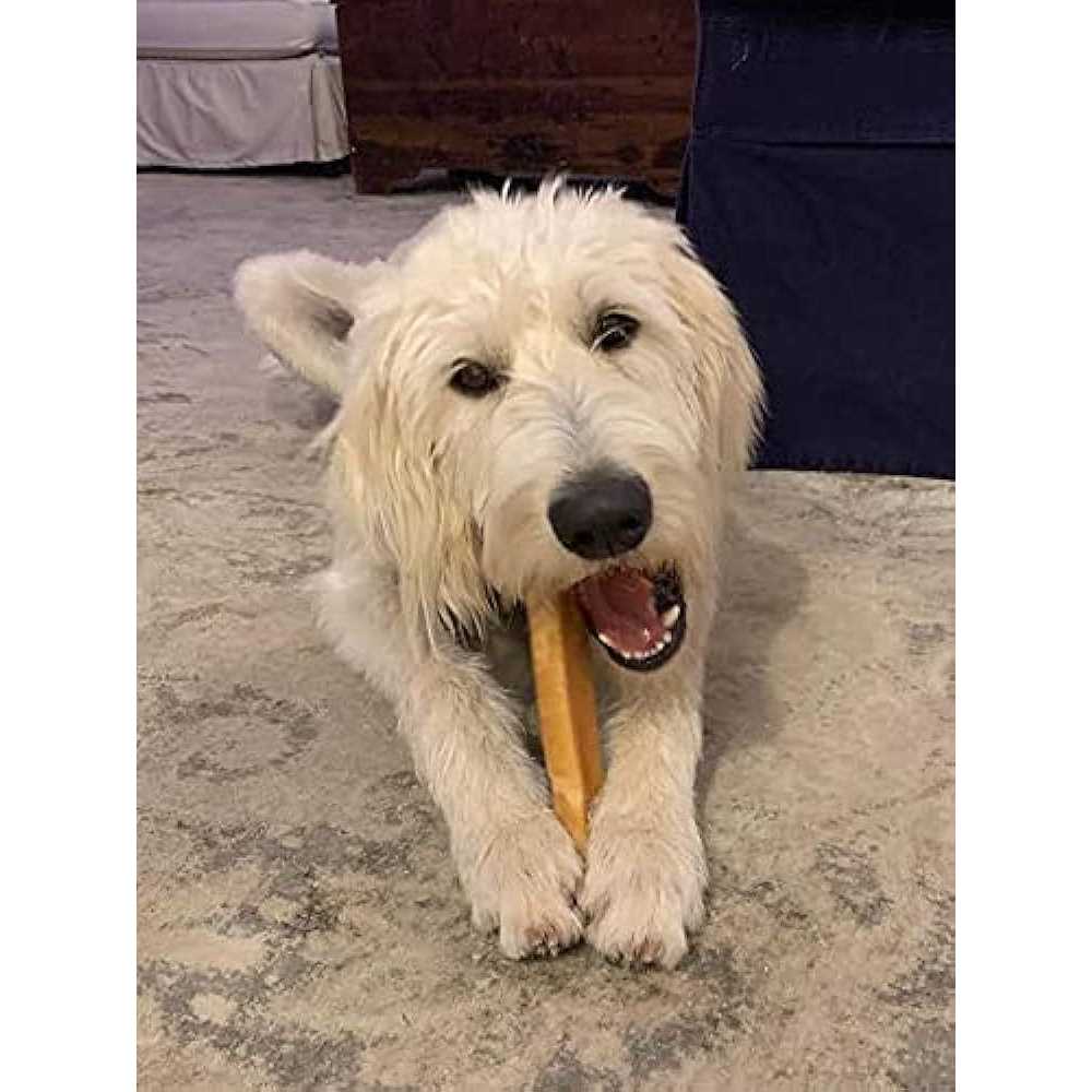 Himalayan Yak Cheese Dog Chew XL Q5665