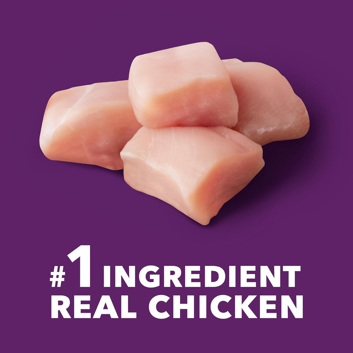 Chicken and Whole Grain Recipe Adult Dry Dog Food, 6 lb. Bag O77345