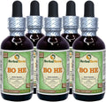 Dried Herb Alcohol-Free Liquid Extract 5x2 fl.oz Y854
