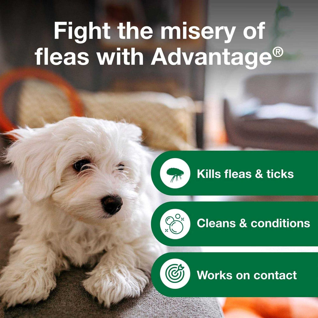Flea & Tick Treatment Shampoo for Dogs & Puppies F436997