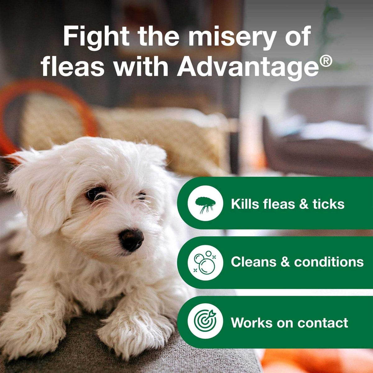 Flea & Tick Treatment Shampoo for Dogs & Puppies F436997