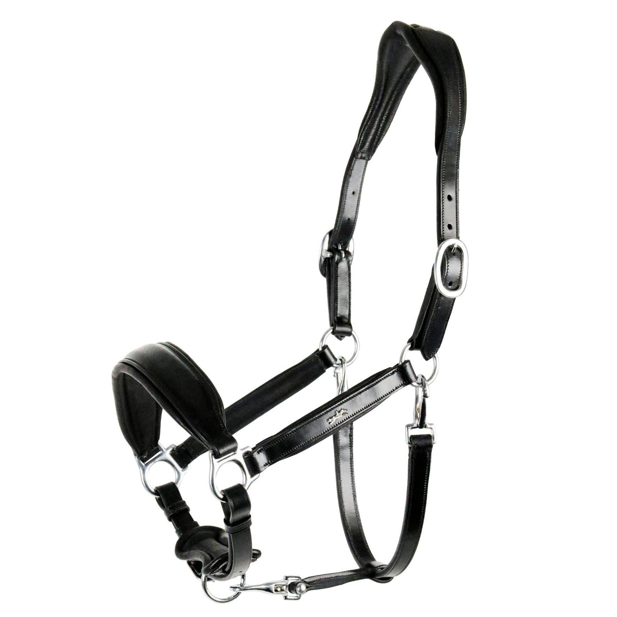 Anatomical Leather Halter F5767
