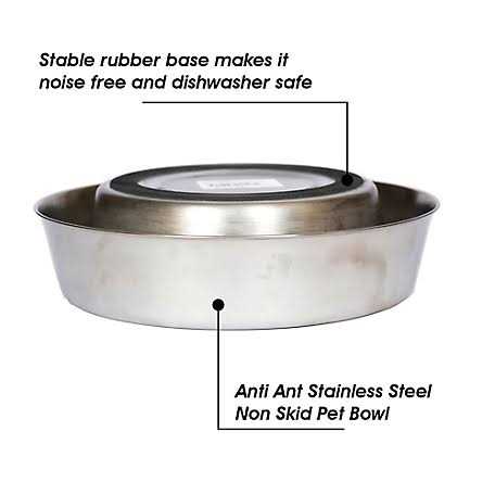 2 Pack Stainless Steel Non Skid Pet Bowl Y2538