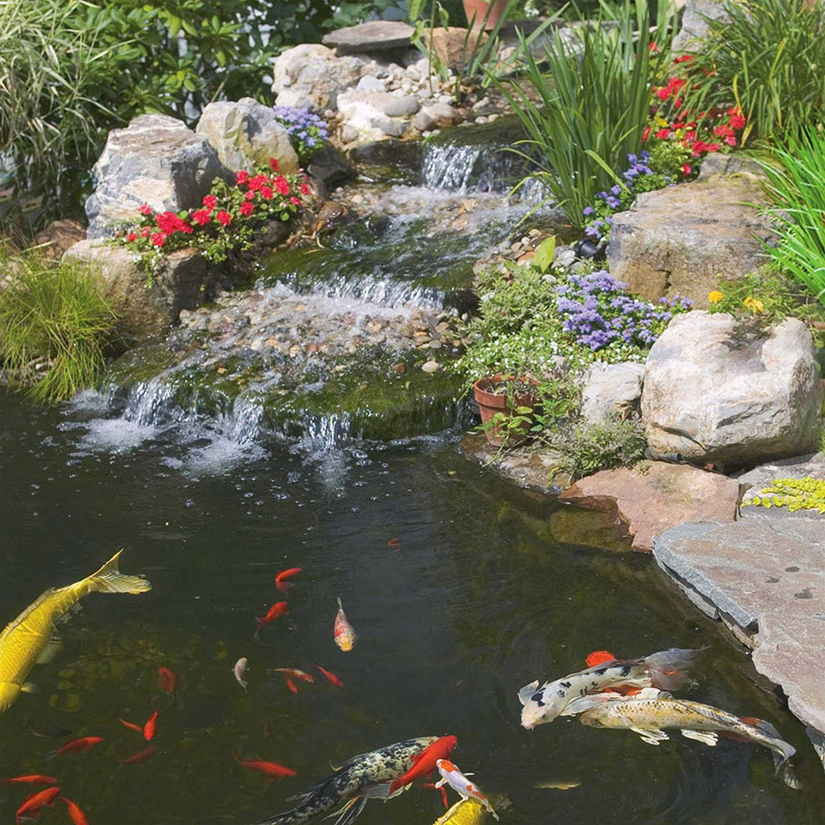 Pond Sticks Goldfish & Koi Food Z7922