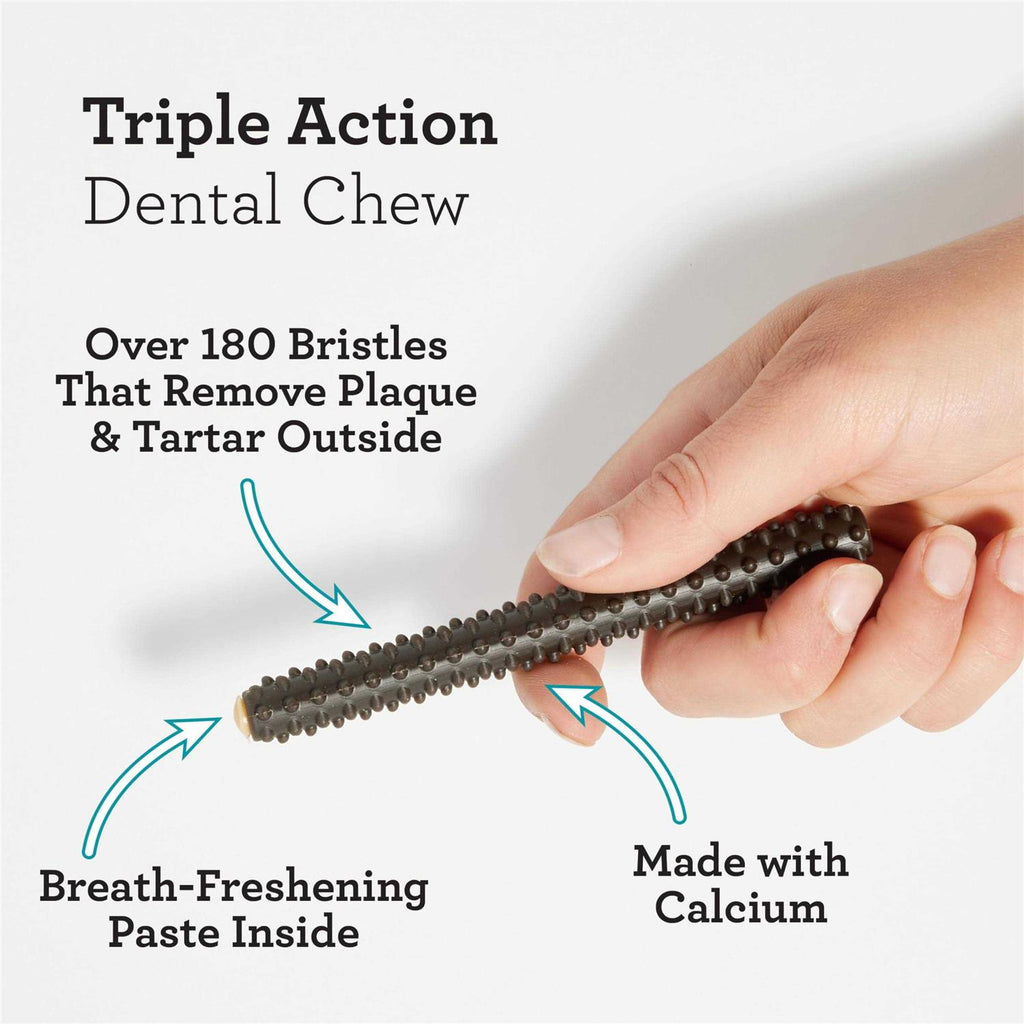 Dental Sticks S402577