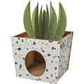 Cardboard Cat House U942385