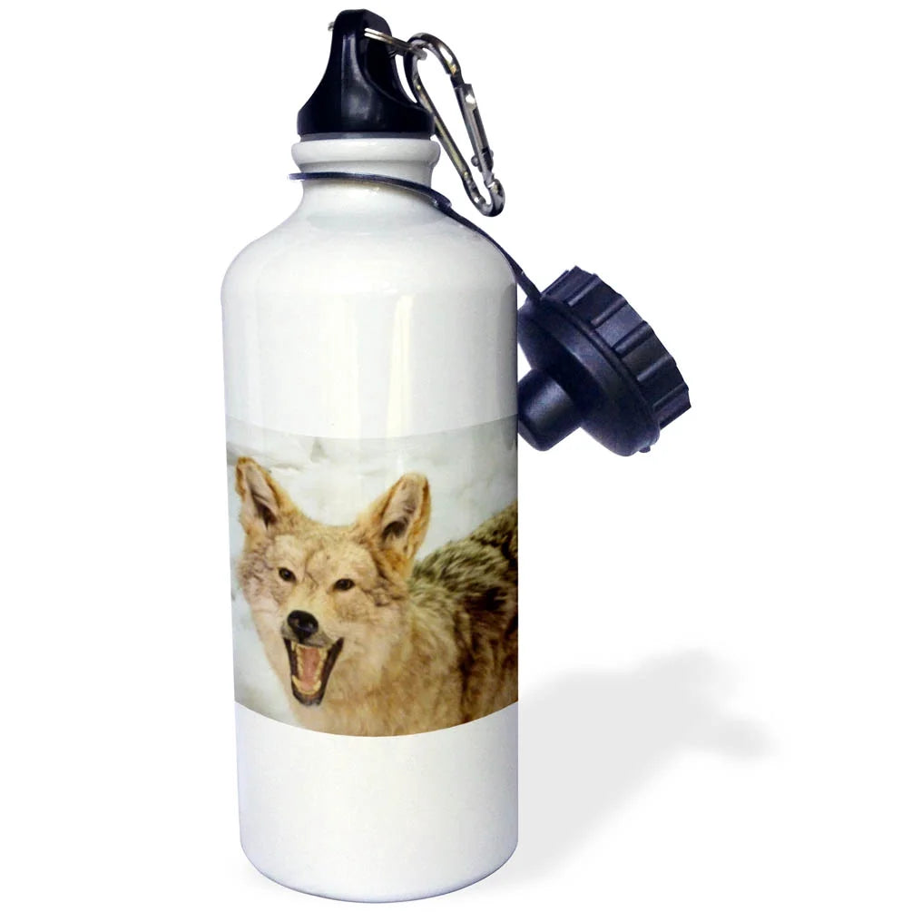 21 oz Sports Water Bottle L40119