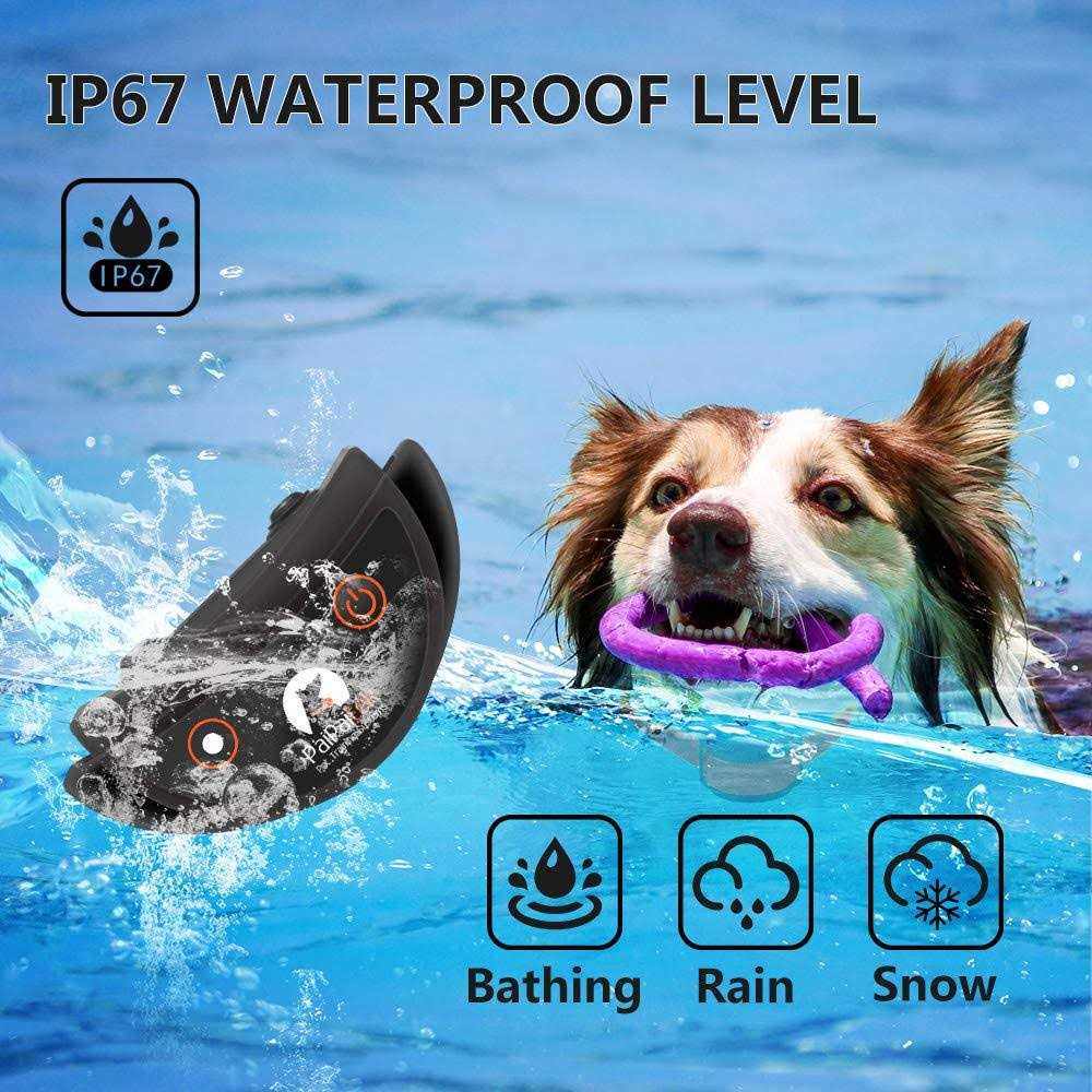 Dog Training Collar with Remote P471