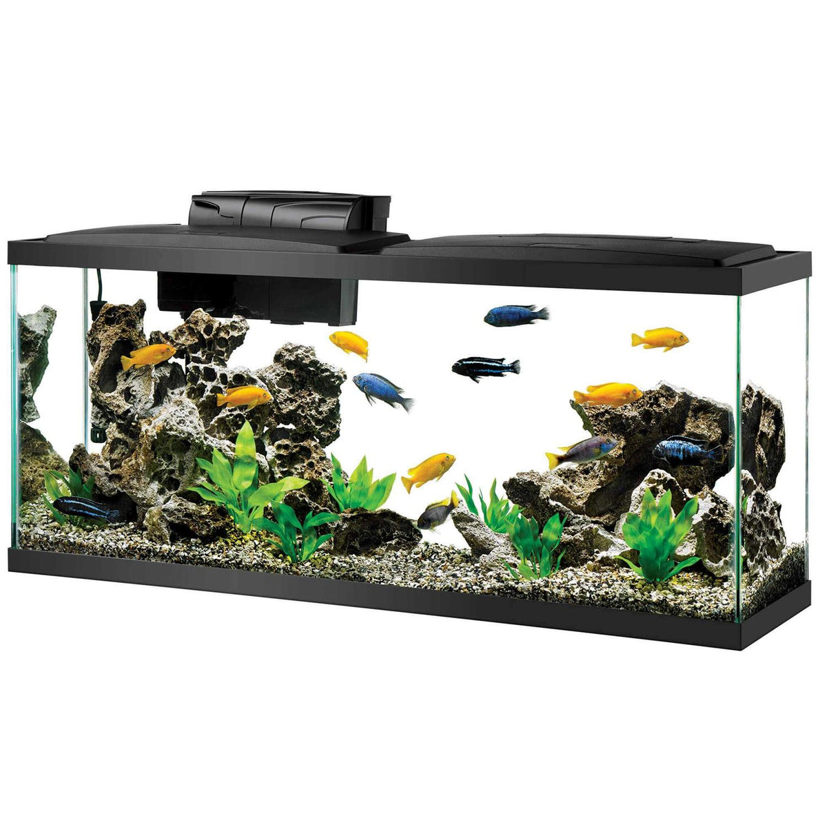 Standard Aquarium Z5070