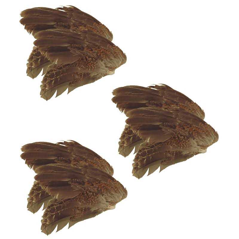 6 Pk J534