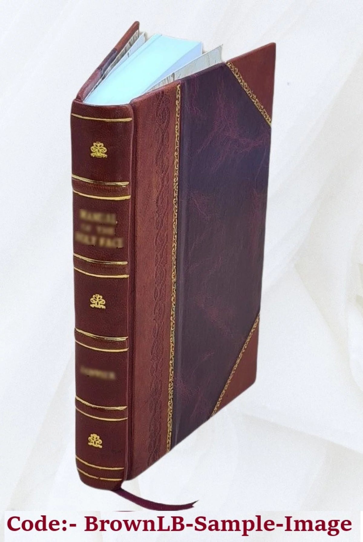 1923 Leather Bound Geographical Reader for Primary Grades F1159