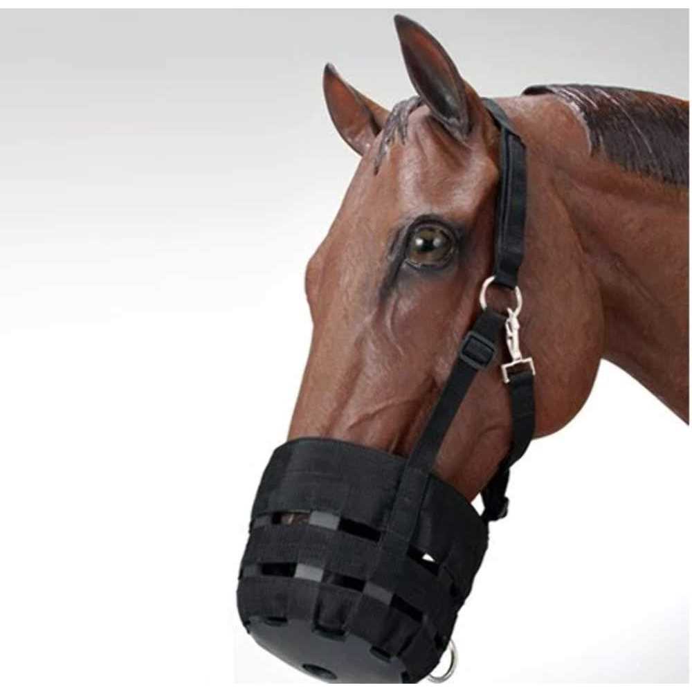 Nylon Halter Grazing Muzzle S79329