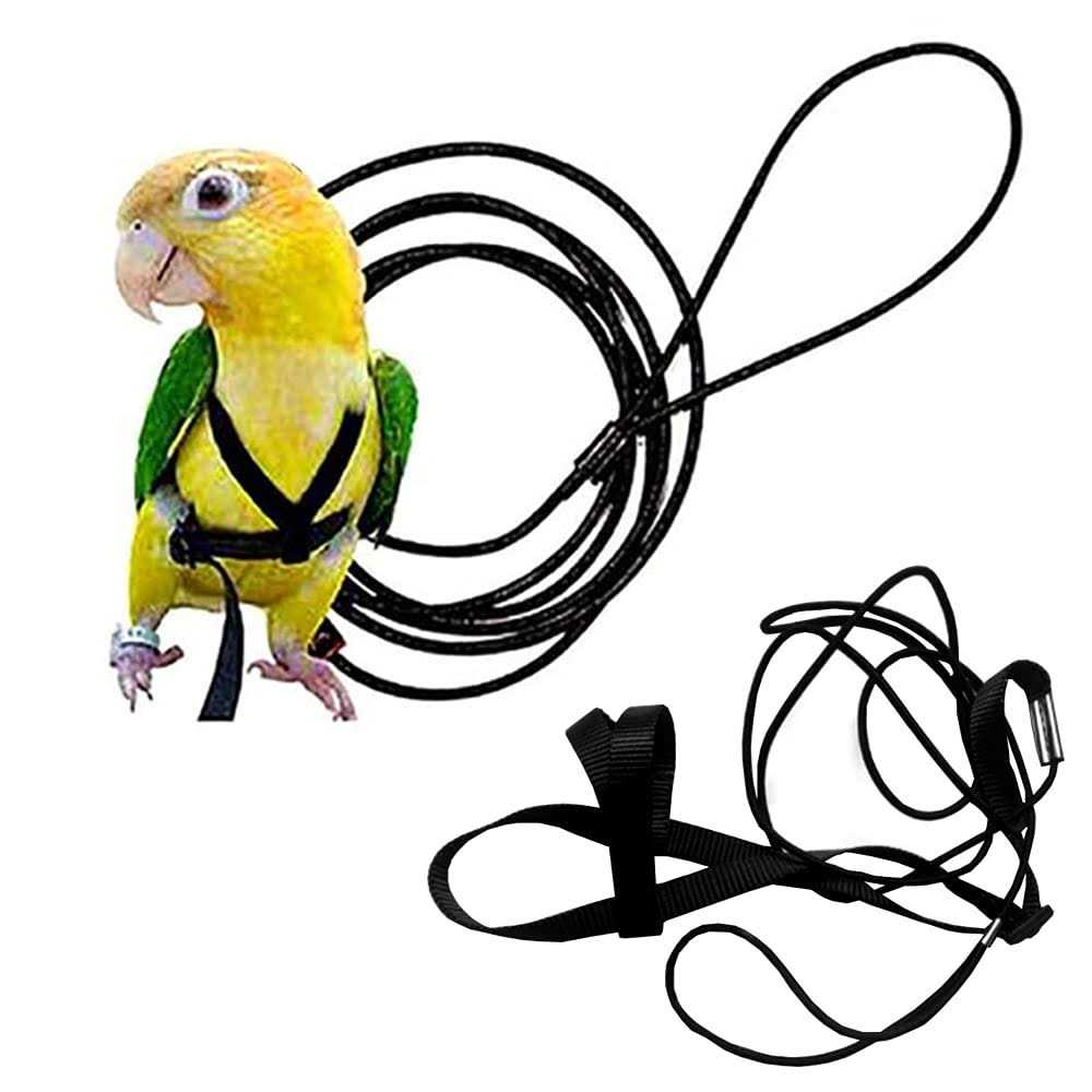 Adjustable Bird Harness and Leash W48544