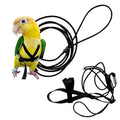 Adjustable Bird Harness and Leash W48544