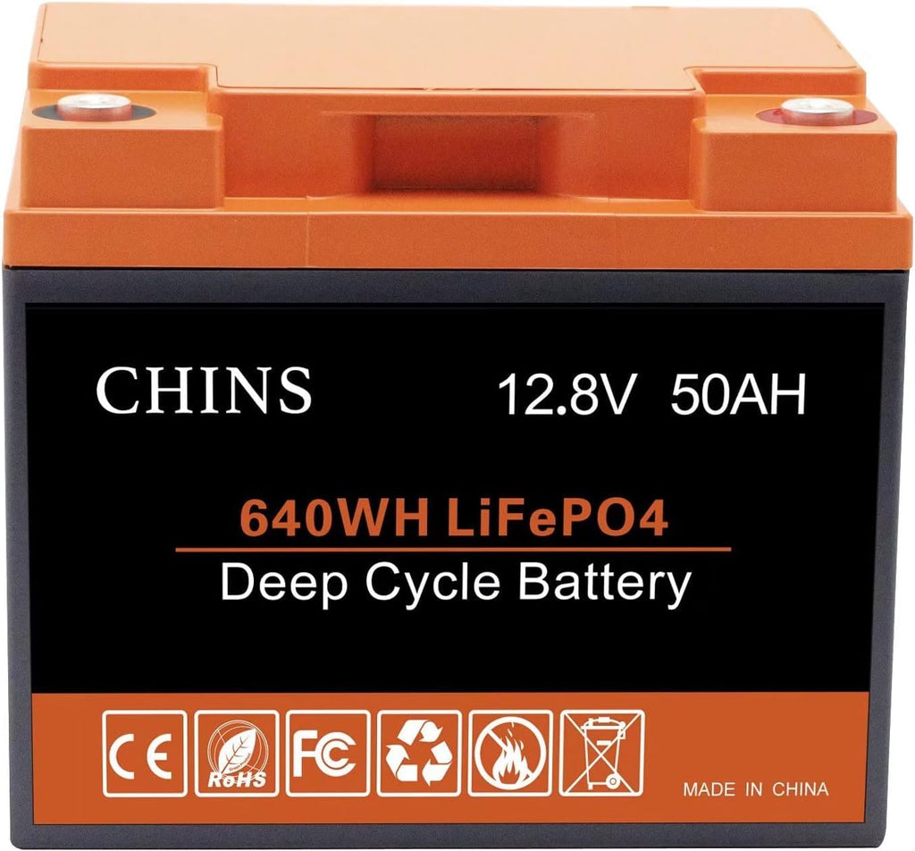 12V 50Ah LiFePO4 Battery with 50A BMS I720